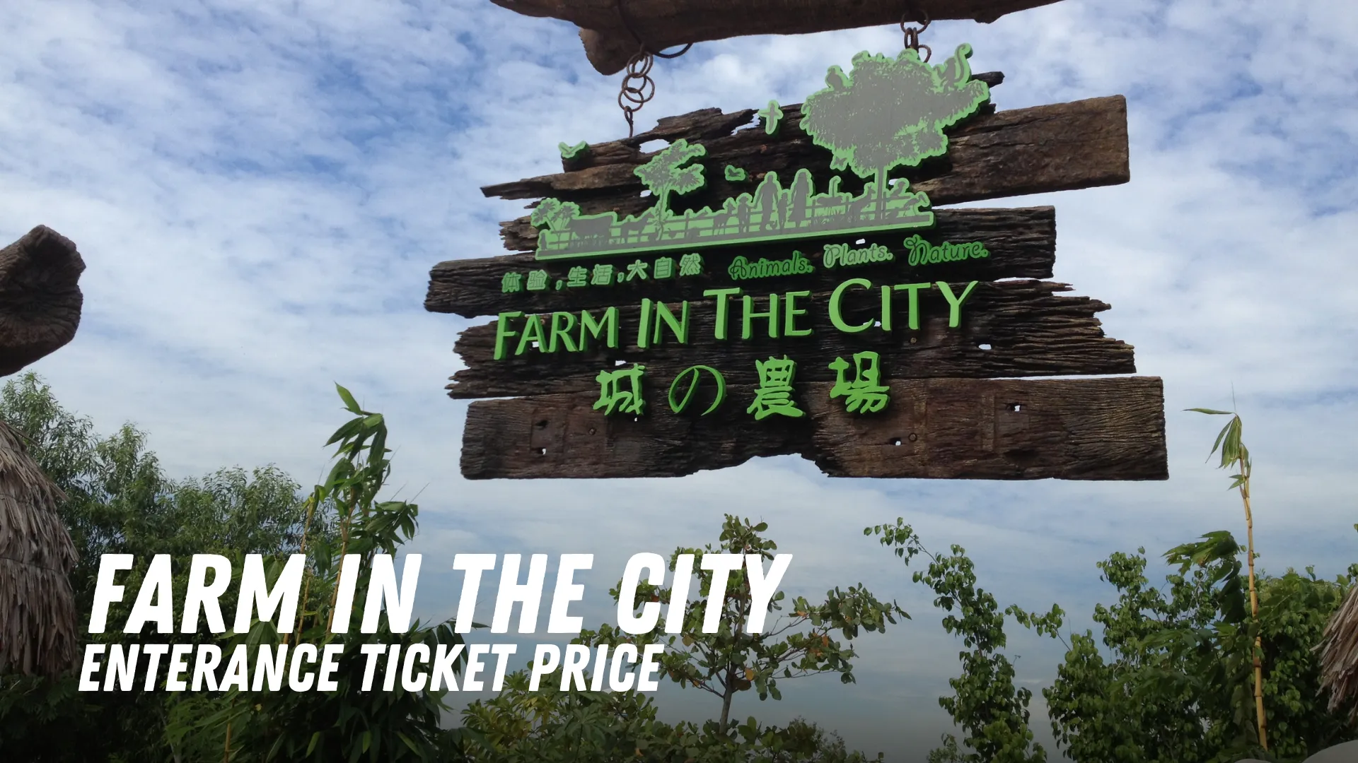 Farm in The City Enterance Ticket in Malaysia